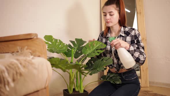 A young beautiful woman watering the plant.