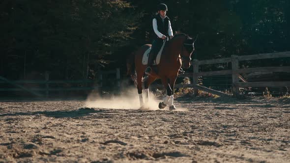 Horse and female rider walk and trot in slow motion in a sand arena.