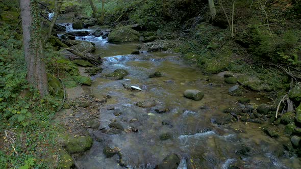 Beautiful landscape with creek flowing through green forest at Bistriski Vintgar Slovenia. Aerial vi