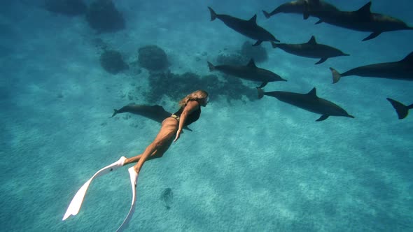 Beautiful Young Woman Swimming Underwater with Dolphins in Pristine Blue Ocean Water Amazing