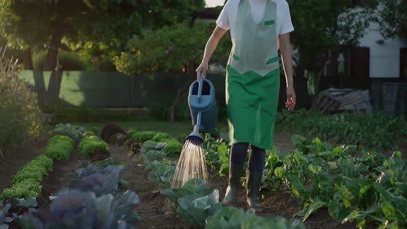 Woman watering plants in a vegetable garden