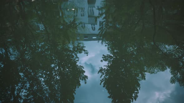 Reflection of house and trees in water