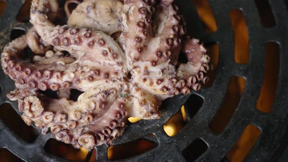 Top down handheld close up shot of tender smoked octopus being cooked on a barbeque smoker with visi