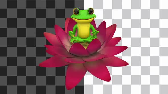 Frog Lotus Pose Meditation