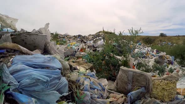 The Dump Is Covered with Greenery. Bird's-eye View