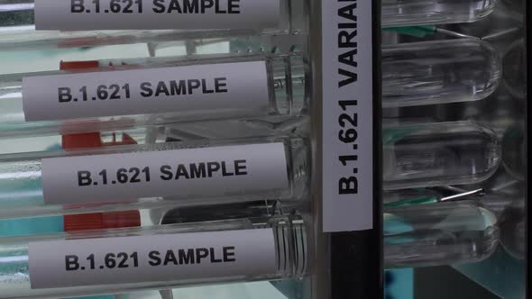 B.1.621 Variant Test Tube Samples In Rack. Vertical Video, Locked Off, Slow Pan Right