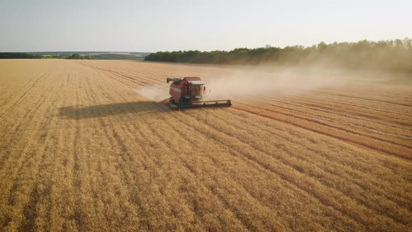 Aerial View Red Harvester Working in the Field