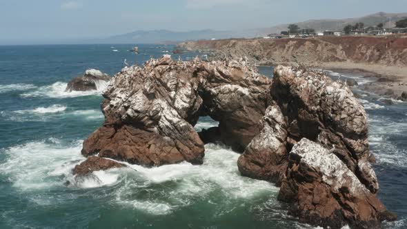 Birds sitting on Arched Rock on the ocean with waves crashing near the Beach Bodega Bay Highway 1 in