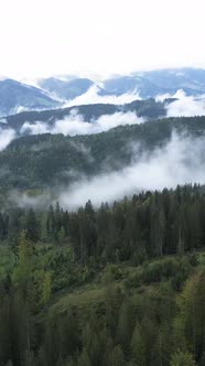 Carpathian Mountains