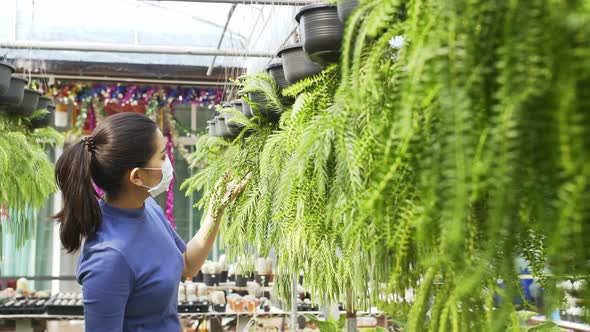 A masked asian woman touches the leaves and examines the plants hanging in front of her in a plant s