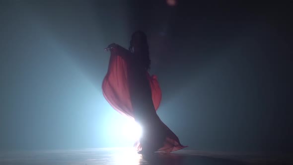 Girl Dancing in Dress on Black Smoke Background. Sihouette. Slow Motion