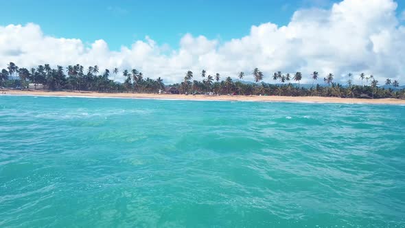 Caribbean Beach Paradise With Palms And Blue Water In 4k