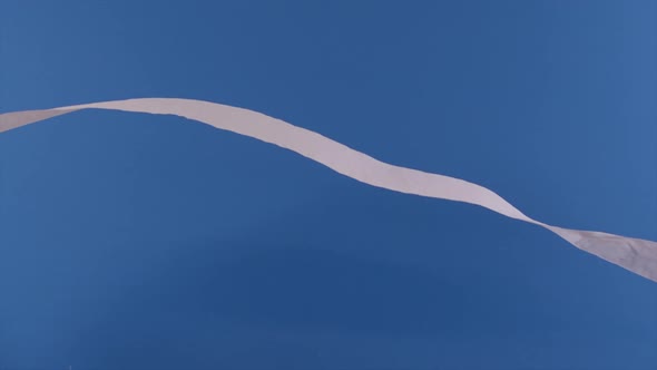 A toilet paper roll is seen flying through the air in front of a blue screen.