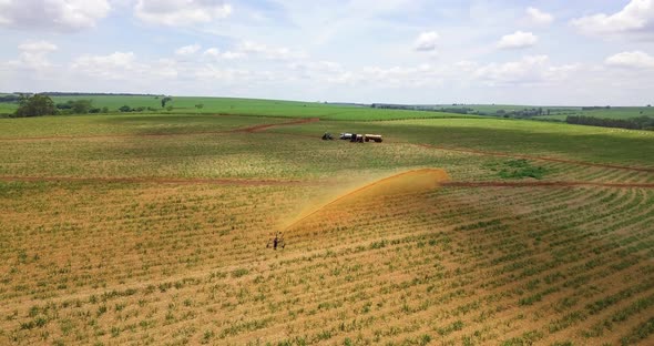 Machine fertilizing sugar cane plantation with liquid fertilizer, in the background we see several t