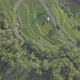 Flying Over the Ricefield and Hills - VideoHive Item for Sale