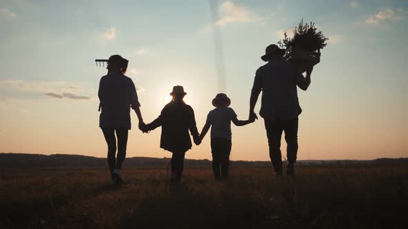 Family Farmers Are Walking Along the Field at Sunset, Carrying Box with Fresh Vegetables and Tools