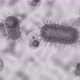 Peering inside a microorganism cell - VideoHive Item for Sale