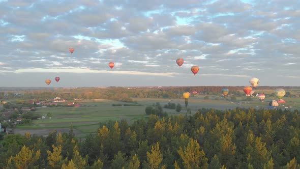Forest Flying Balloons