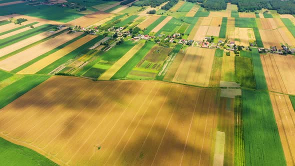 Vertical stripes of agricultural parcels of different crops. Aerial view shoot from drone directly a