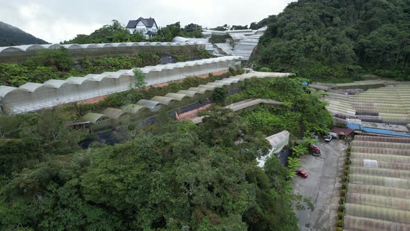 Cameron Highlands, Pahang Malaysia