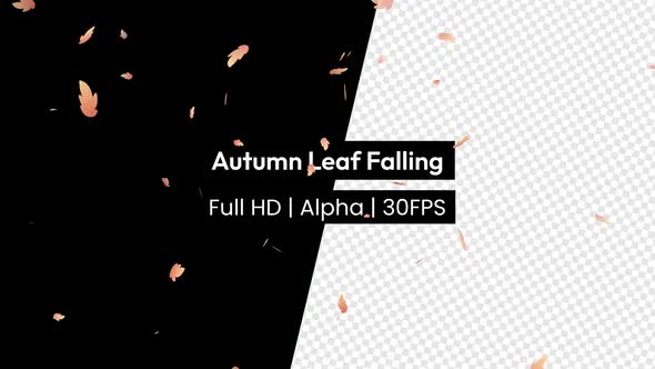 Autumn Leaf Leaves Falling with Alpha