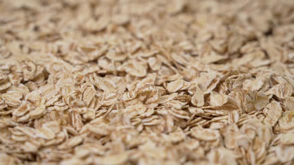 Falling rolled oat grains in raw oatmeal. Organic diet cereal healthy food. Macro. Rotation
