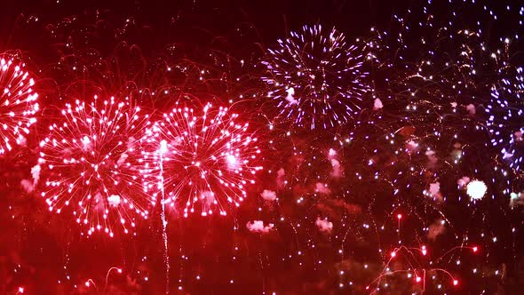 Colorful Fireworks Exploding in the Night Sky