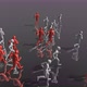 Running Guys 3D Abstract Animation - VideoHive Item for Sale