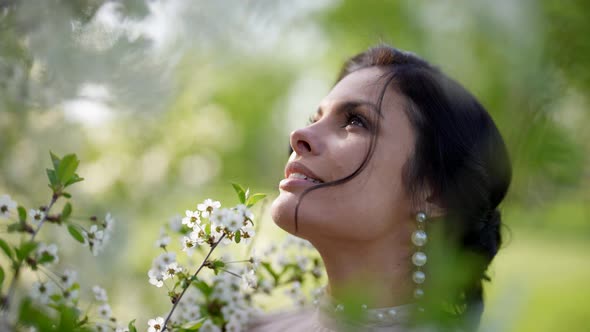 Charming Brunette Woman is Admiring Beauty of Blooming Cherry Tree in Garden in Spring Day