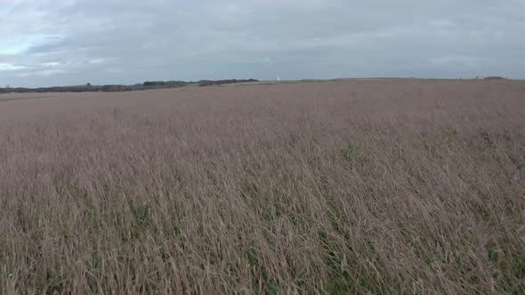 Low fast drone shot over grassy fields towards south foreland lighthouse dover