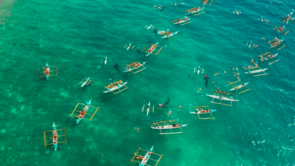 Oslob Whale Shark Watching in Philippines, Cebu Island.