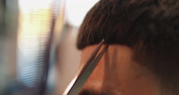 Men's Haircut with Scissors. Close-up.