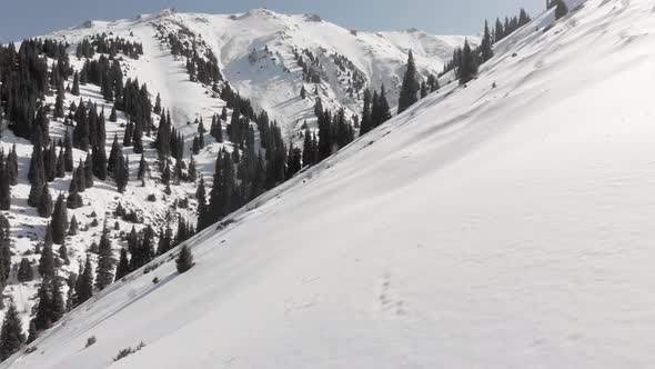 Aerial Landscape of Beautiful Winter Mountains