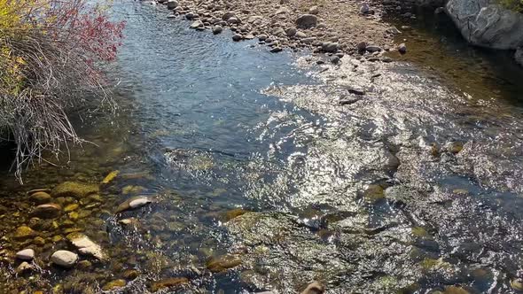 A smooth flowing fresh water stream.