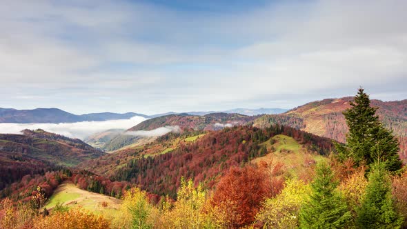 Wonderful Autumn Landscape with Beautiful Blue Sky and Majestic Clouds Forest Sunset Beautiful Fall