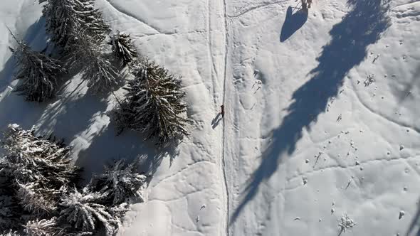 Aerial Landscape of Beautiful Winter Mountains