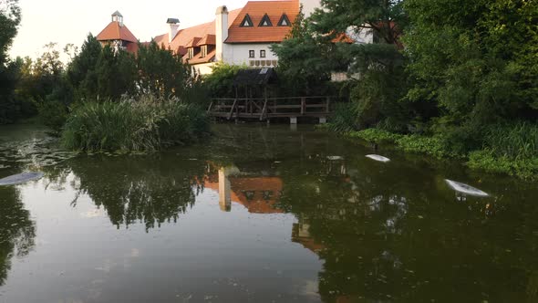 Pond with reeds and waterlilies with a wooden pier below a chateau.