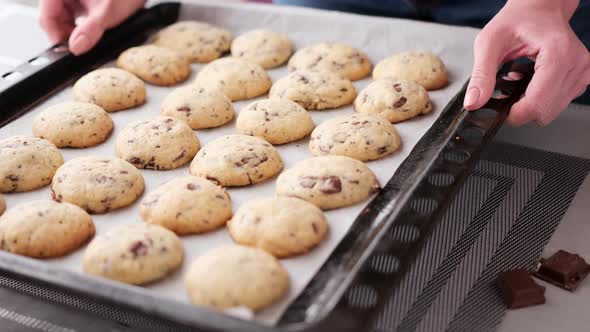 Homemade Soft Chocolate Chip Cookies on a Baking Sheet