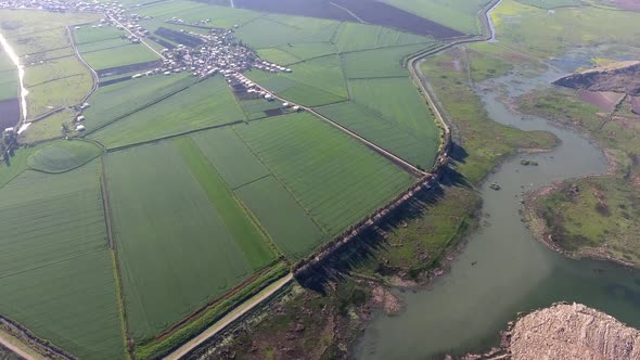 Marshlands Converted Into Agricultural Lands