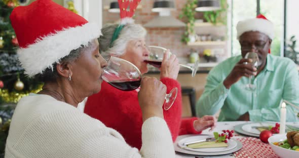 Happy group of diverse senior friends celebrating meal and drinking vine at christmas time