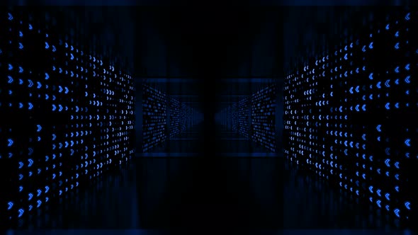 Digital Hallway Loop alt