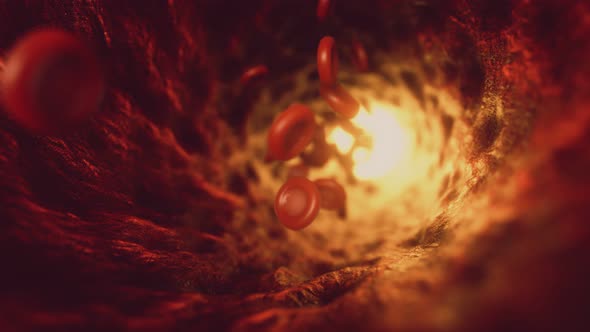 Red Blood Cells Moving in the Bloodstream in an Artery alt