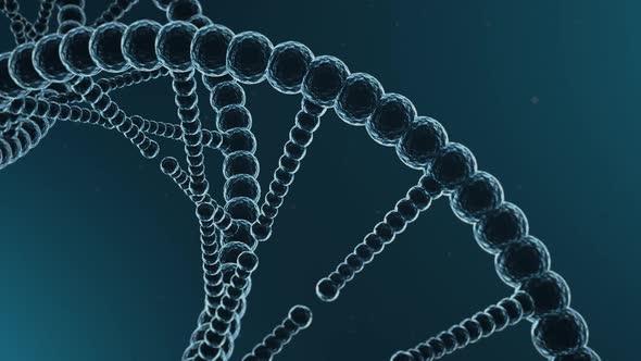 DNA animation