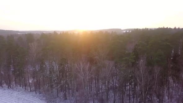 Aerial Video with Winter Forest