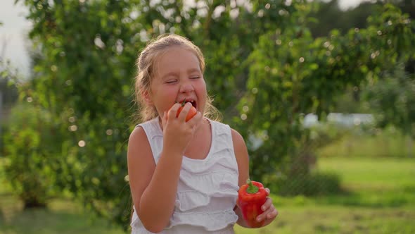 Portrait cute girl biting vegetable tomato at garden. Young school aged child person lick vegetables