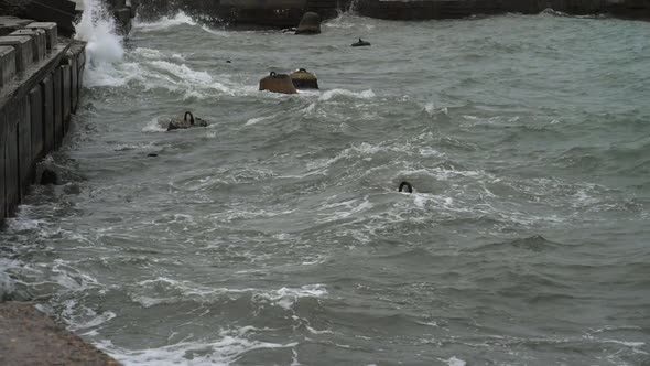 Waves Crushing Against Breakwater.