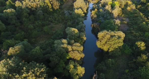 4K Aerial view of river and beautiful  forest. Kamchia River in Bulgaria