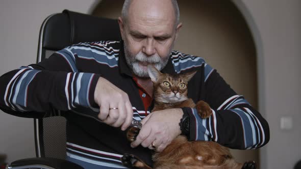 Clipping Claws Of Pet Cat