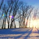 Shoot Of Sunset In Winter Forest 2 - VideoHive Item for Sale