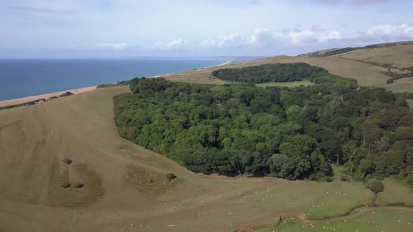 Wide aerial tracking forward and upward above the gardens near Abbotsbury, revealing the southwest c